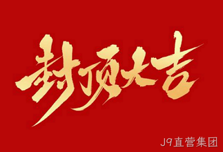 J9直营集团背光显示模组扩建及智能显示组件新建项目封顶仪式
